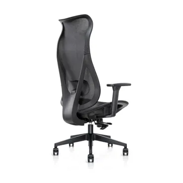 Mala Ergonomic Chair