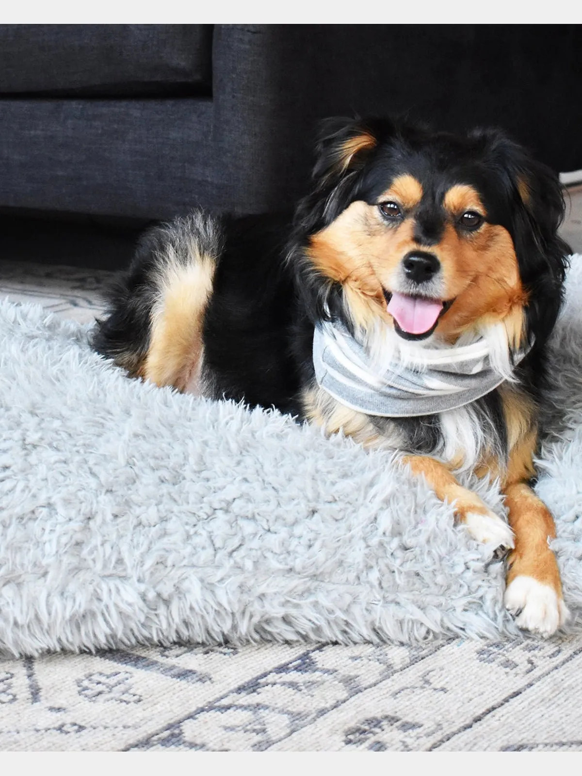 MB SNOOD