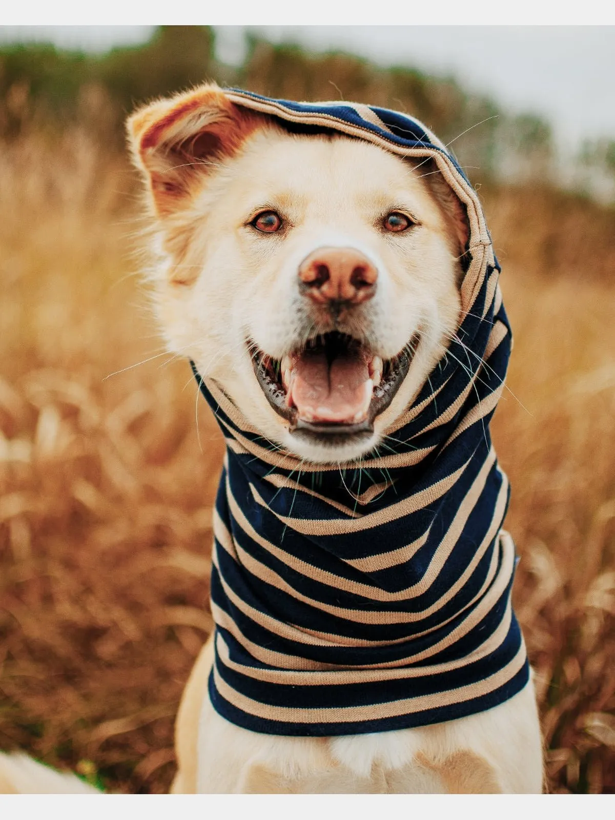 MB SNOOD