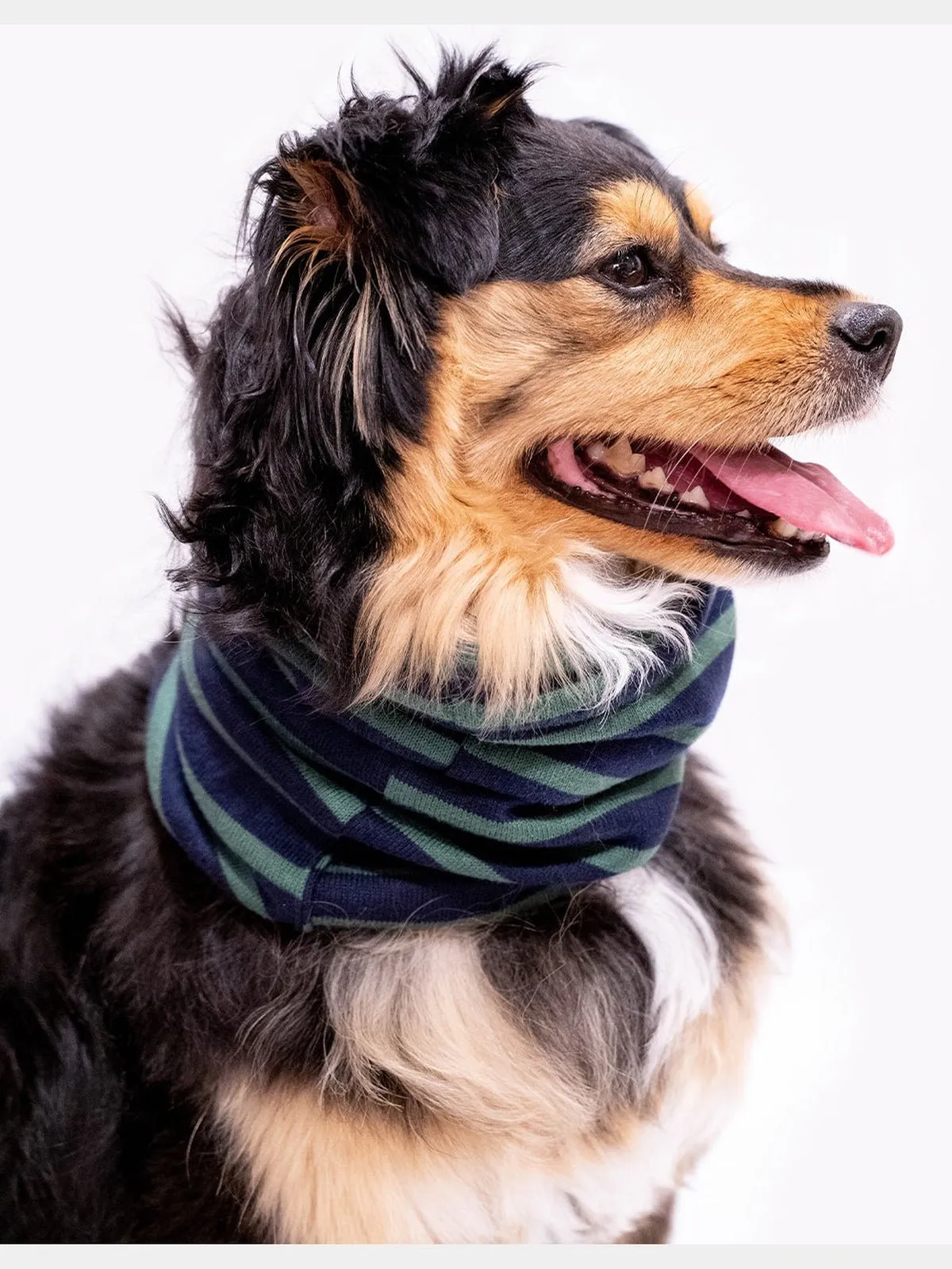 MB SNOOD